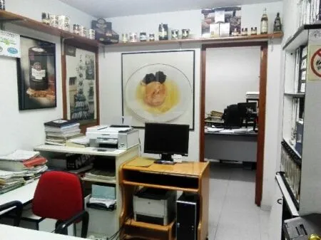 Business Premise - Vilafranca del Penedes (Espirall) — photo 7