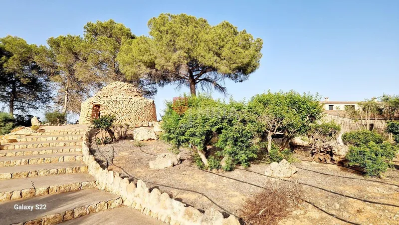 Plot for sale – Ses Salines (Mallorca) — photo 3