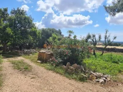 House for sale in a very quiet area 4km from Sant Llorenç — photo 6