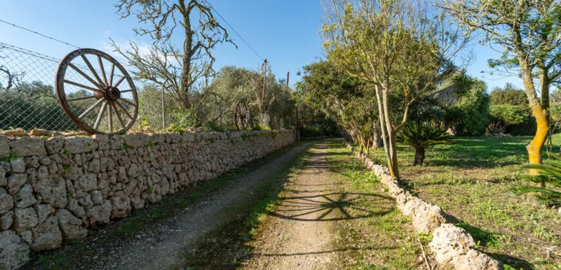 Country house in Sineu with pool and 5,400 m² of land — photo 3