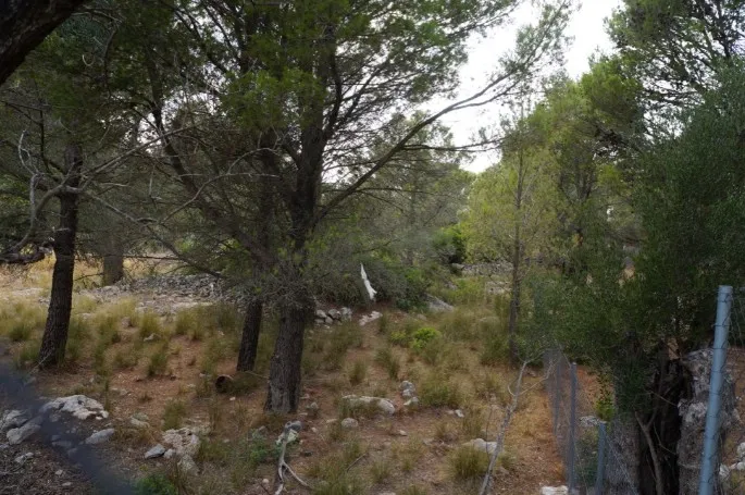 Plot for sale in Valldemossa — photo 9