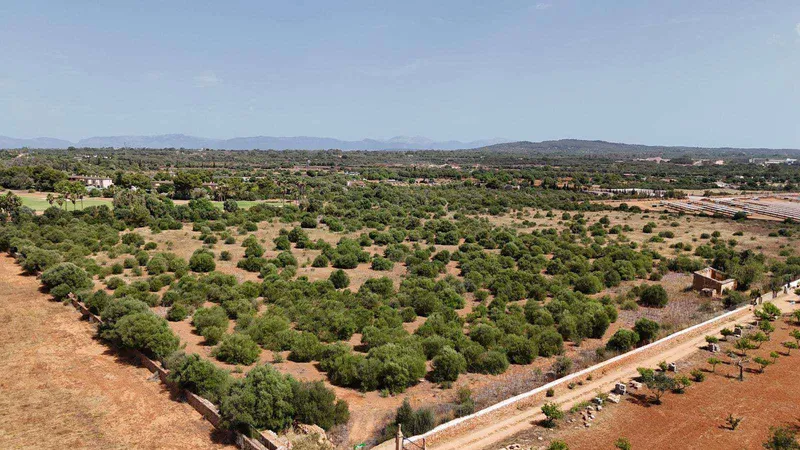 Rustic plot next to Son Antem, Mallorca — photo 4