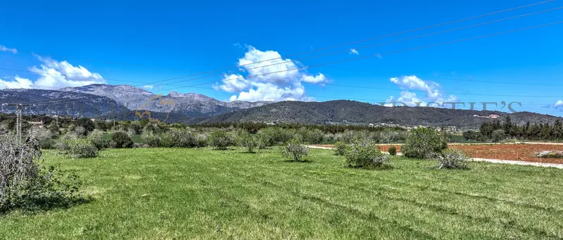 Idyllically situated plot in Buger with building permit for a country house with pool — photo 3
