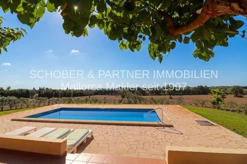 Finca mit 5 Zimmern, Pool, Meerblick & ETV Lizenz zu kaufen — photo 1