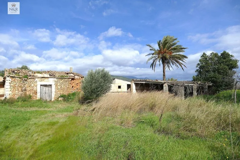 Luxury home in Binissalem, Province of Balearic Islands — photo 7