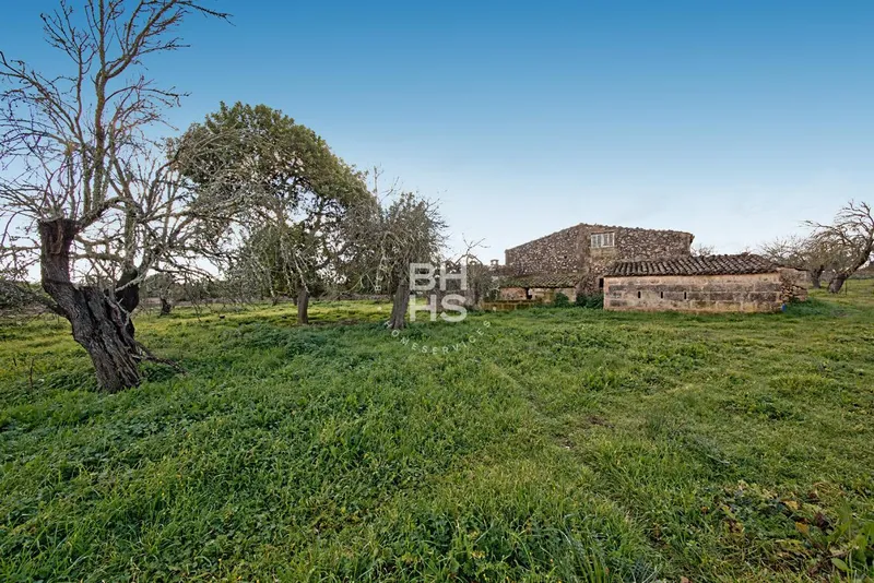 Rustic Finca for sale in María de la Salut — photo 2