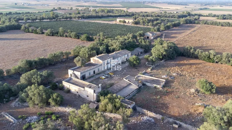 Rustic Finca for sale in Vilafranca de Bonany — photo 2