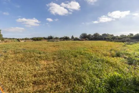 Plot — photo 6