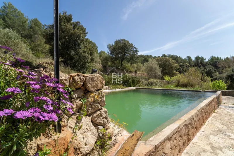 Rustic Finca for sale in Esporles — photo 3