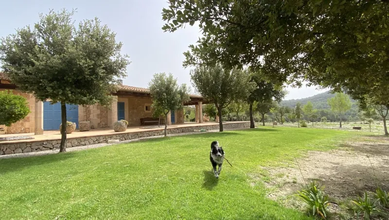Luxury finca in Campanet — photo 6