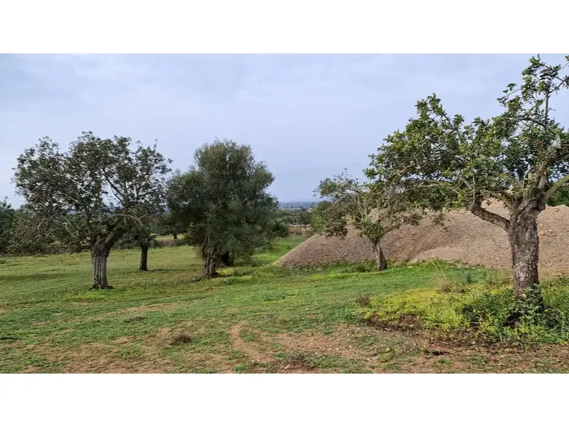 In the Bellavista area, very close to Cala Millor, on a plot of 14110 m2 we offer you this new project: a finca of a superf — photo 10