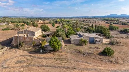 Rustic property - Campos, built surface 1300m2, plot surface 32702m2, 4 bedrooms, 2 bathrooms. — photo 6