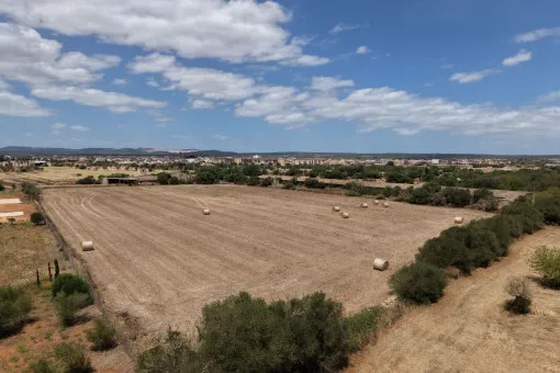 Campos, Attractive Building Plot with Panoramic Open Views near Campos — photo 2