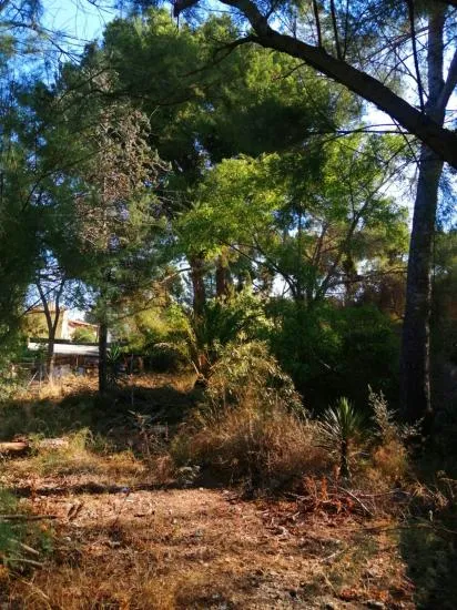 Opportunity, buildable plot very well located in the port of Alcudia, 800 m² — photo 3