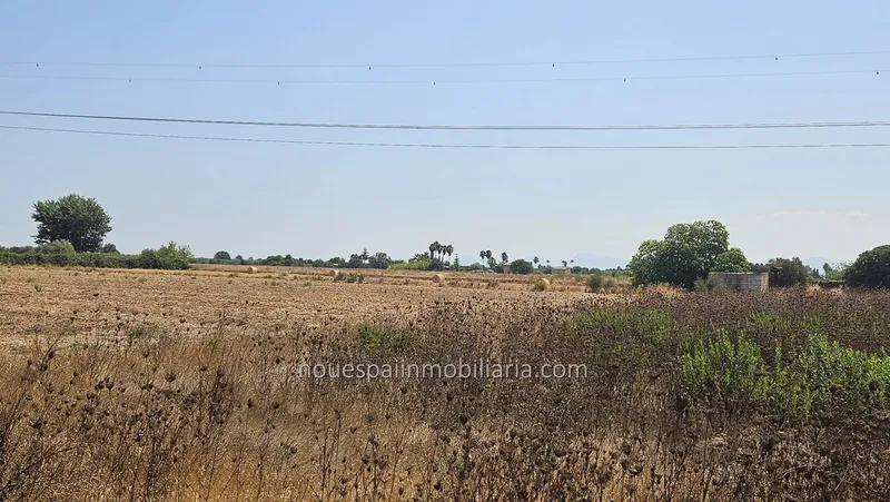 Rustic estate for sale in Muro, in the Son Mieres area — photo 7