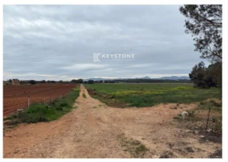 Plot — photo 11