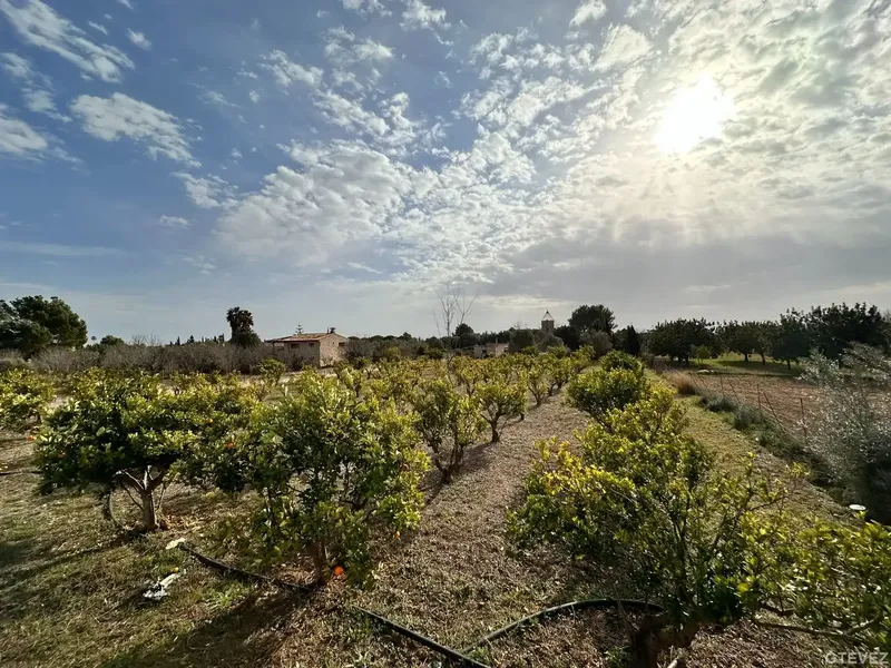 Exclusive mill house! This exclusive property has a plot of 5096m2 and a house of 239m2 built in the over 500-year-old mill — photo 6