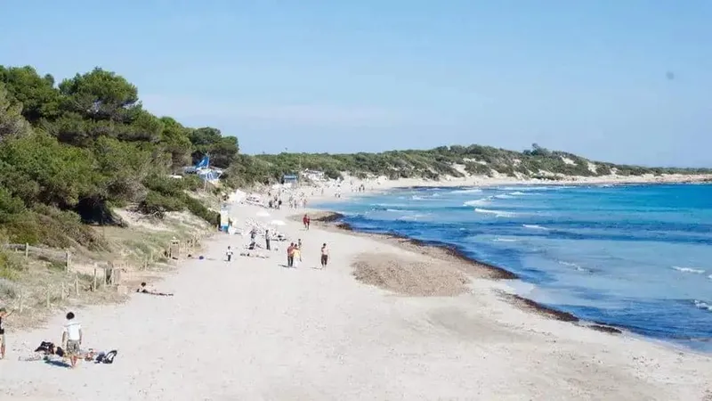 Luxury home in ses Salines, Province of Balearic Islands — photo 2