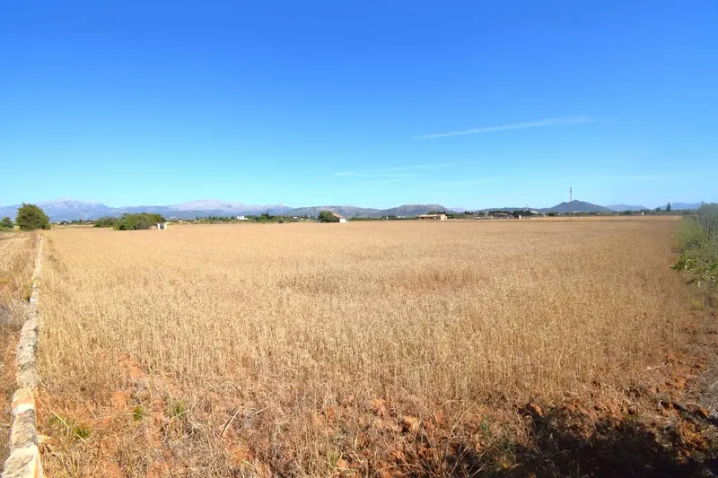 Set of two plots totaling 15,324 m² with possibility of building a house in Muro. Located approximately 5 km from the beach — photo 12