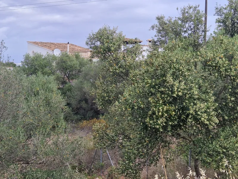 Building land with sea views, Bellavista, Cap Enderrocat, Llucmajor — photo 4