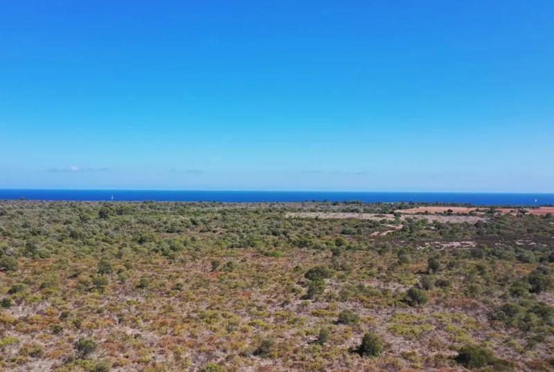 Plot with license in Cala Varques — photo 1