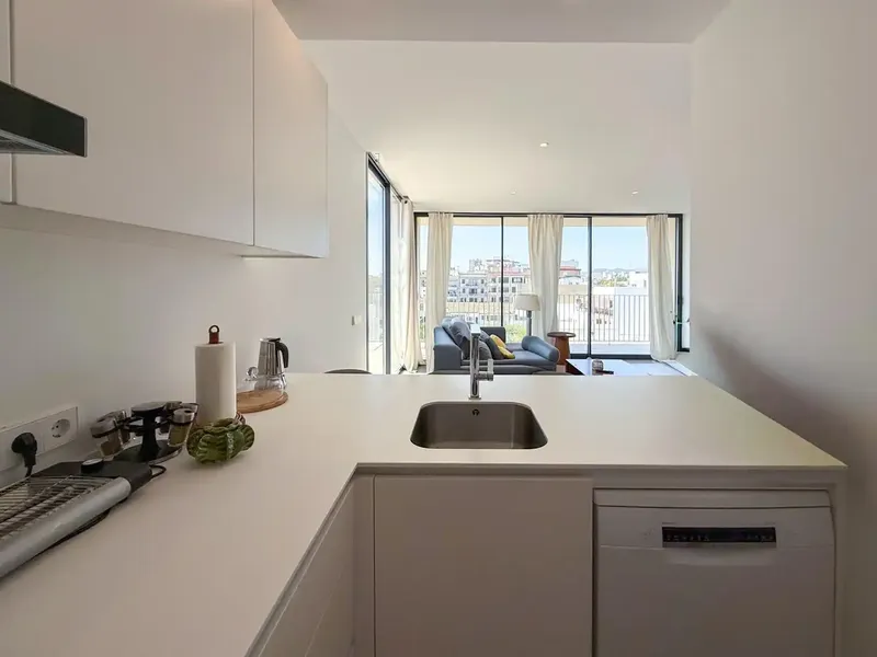 Discover this magnificent semi-new penthouse — photo 8