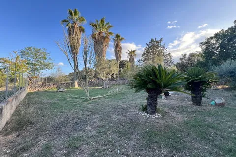 Villa in Costitx, Mallorca — photo 5