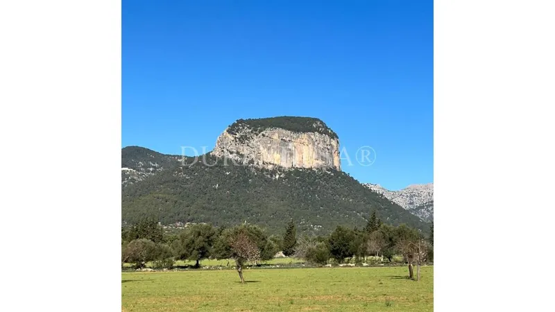 Rustic house for sale — photo 7