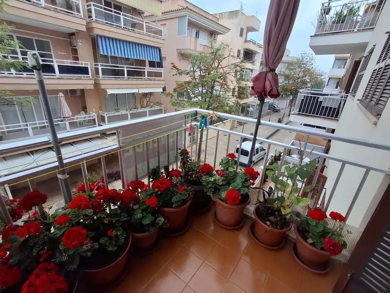 Carol Serrano Real Estate Agent offers for sale NICE APARTMENT IN CALA MILLOR — photo 6