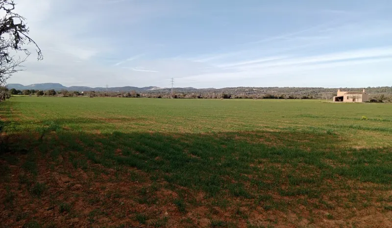 Country Plot near Campos — photo 5