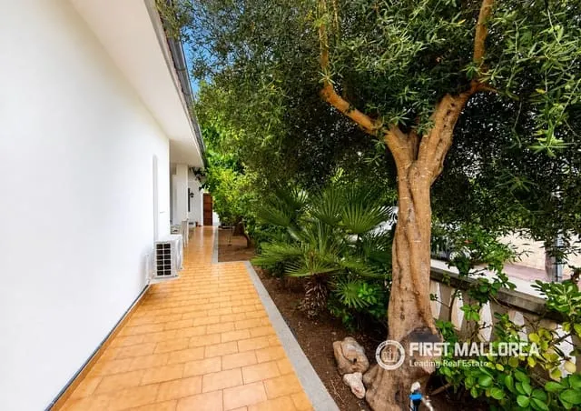 Villa for rent in Playas de Muro / Platges de Muro, Muro, Mallorca — photo 3