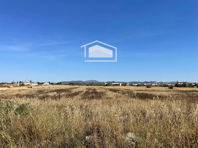 Rustic buildable finca in Campos with water, electricity and asphalt access — photo 3