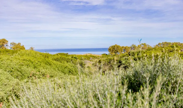 Building plot on the seafront in Cala Tono, Colonia Sant Pere — photo 4