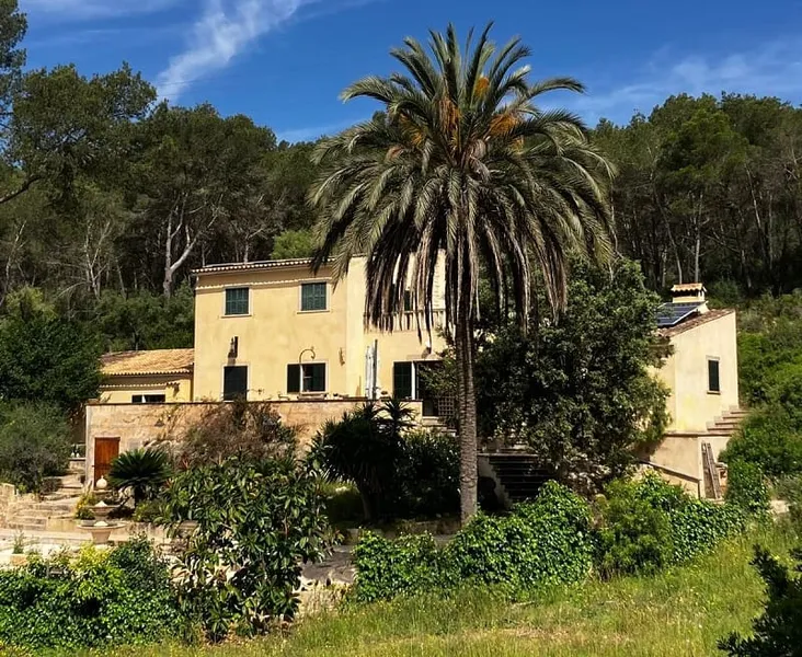 Spacious renovated finca — photo 2