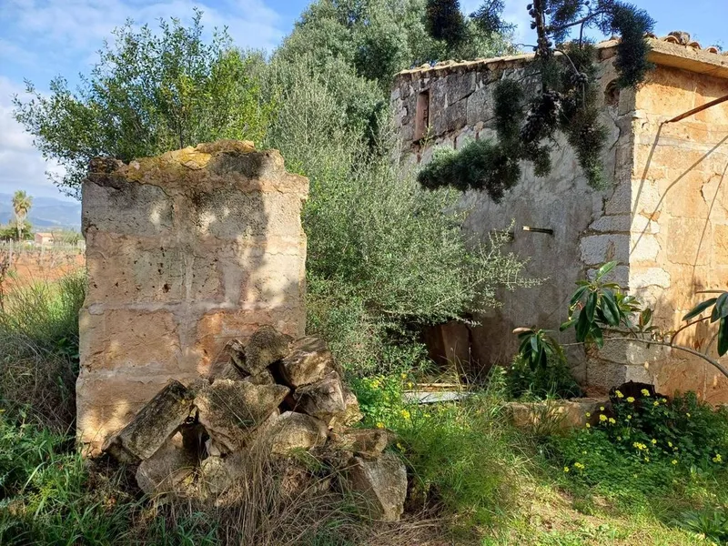 Rural or Farmhouse in Santa Maria del Camí, Province of Balearic Islands — photo 6