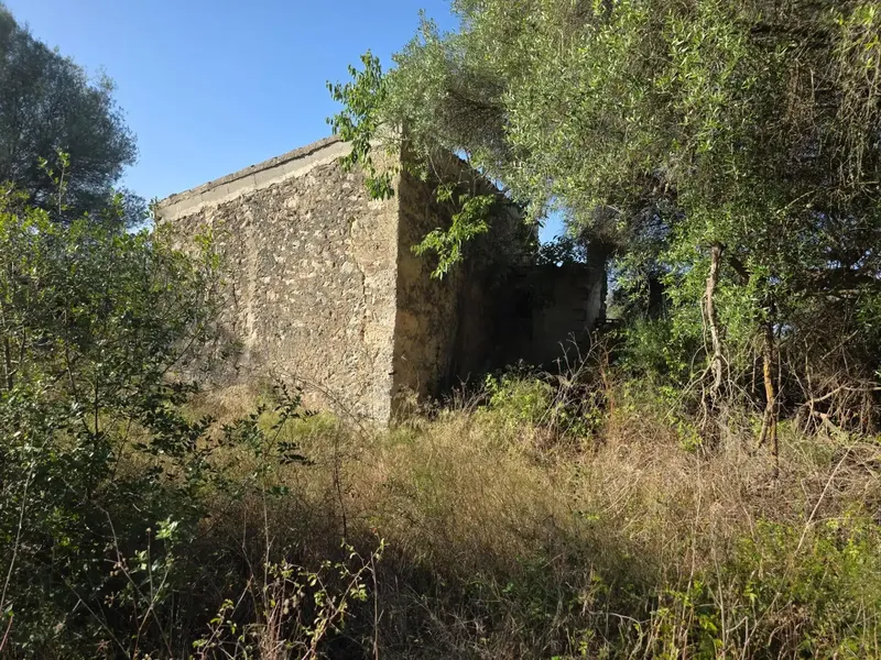 Rustic estate in Costitx — photo 6