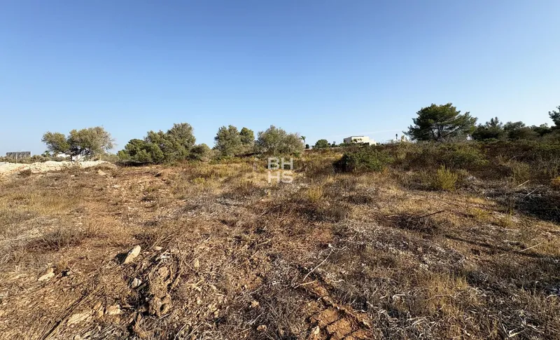 Single-family plot for sale in Son Gual — photo 3