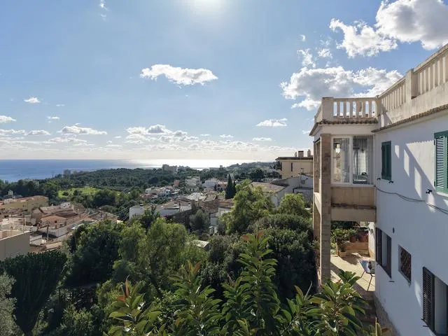 Palma - Genova — photo 1