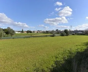 Land for Sale in Manacor — photo 4