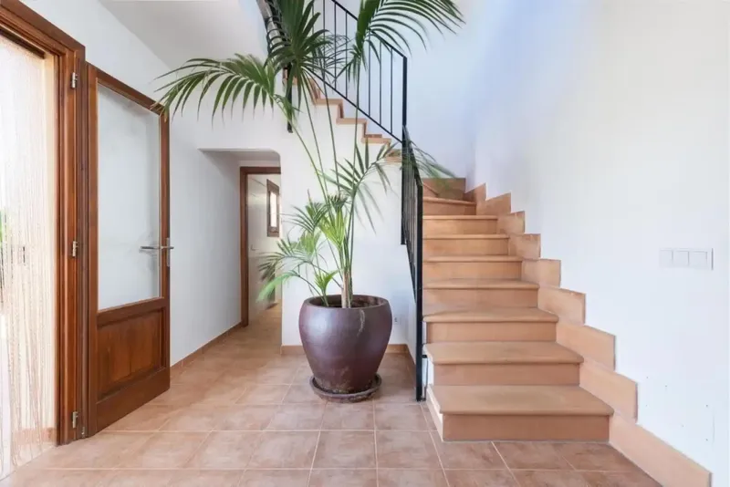 Available for rent from October 1, 2026. Charming country house for long-term rental amidst an orange plantation — photo 11