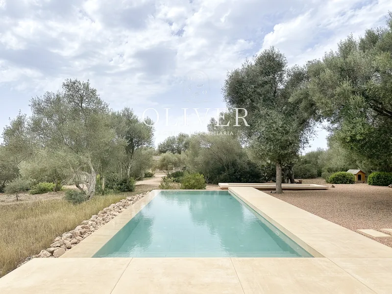Wonderful rustic finca in Algaida — photo 3