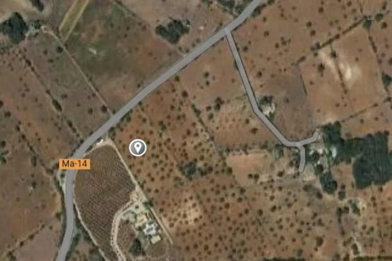 Rustic building plot between Cas Concos – Santanyi — T 22 CM — photo 1