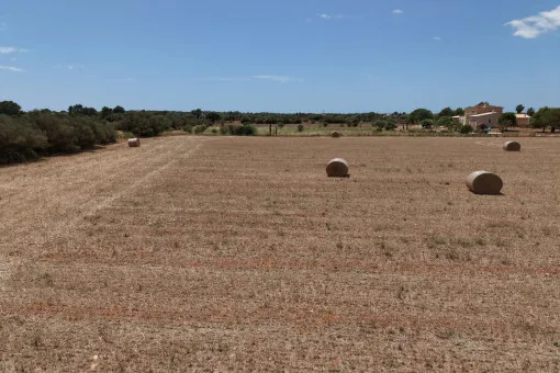 Campos, Attractive Building Plot with Panoramic Open Views near Campos — photo 3