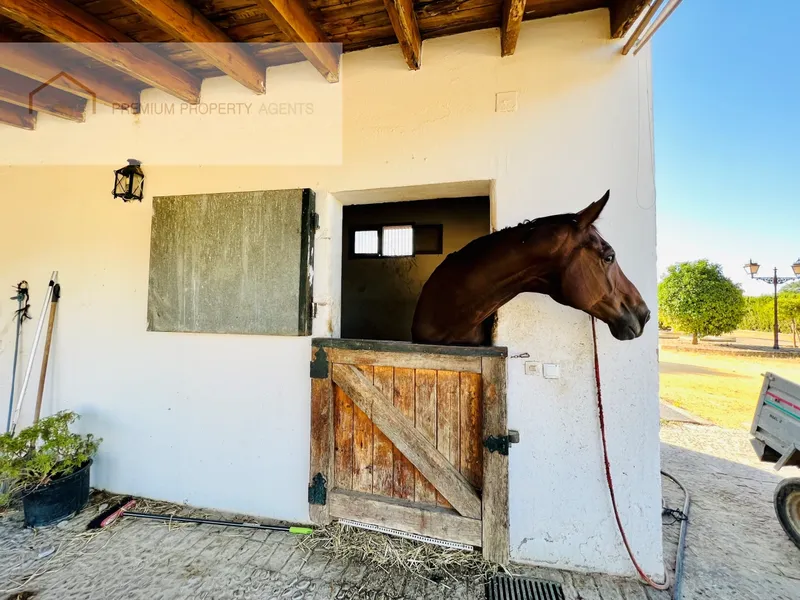 Farm 14 Bedrooms — photo 4