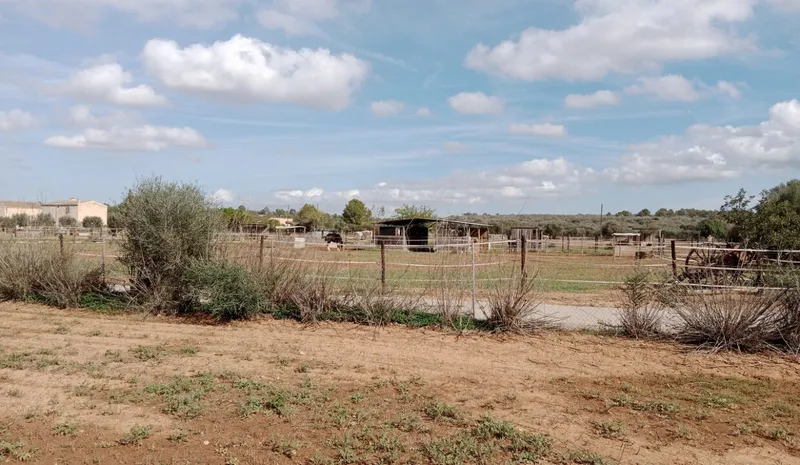 Rustic Land near Campos — photo 3