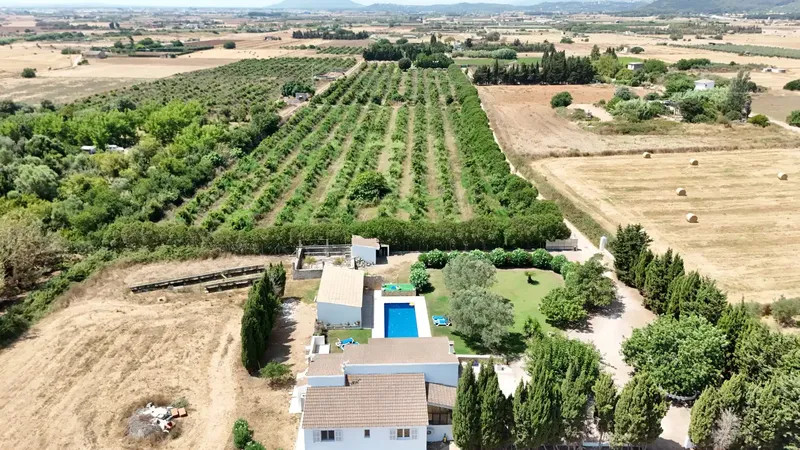 Finca with two guest apartments near Sa Pobla – available from August 15 — photo 4