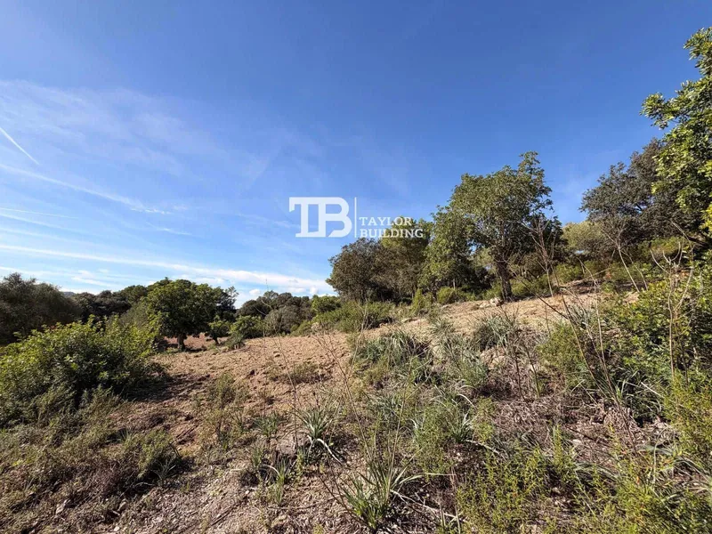 Villa for sale in Son Servera, Mallorca — photo 4