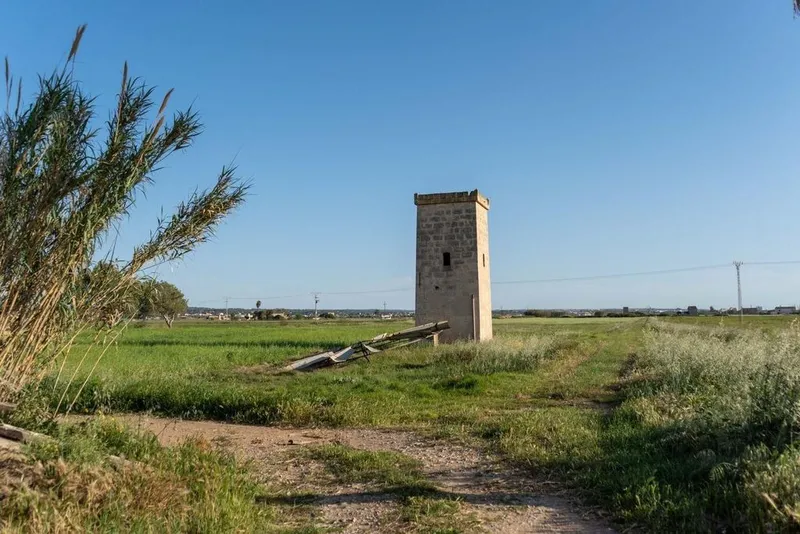 Rural or Farmhouse in Palma de Mallorca, Province of Balearic Islands — photo 6