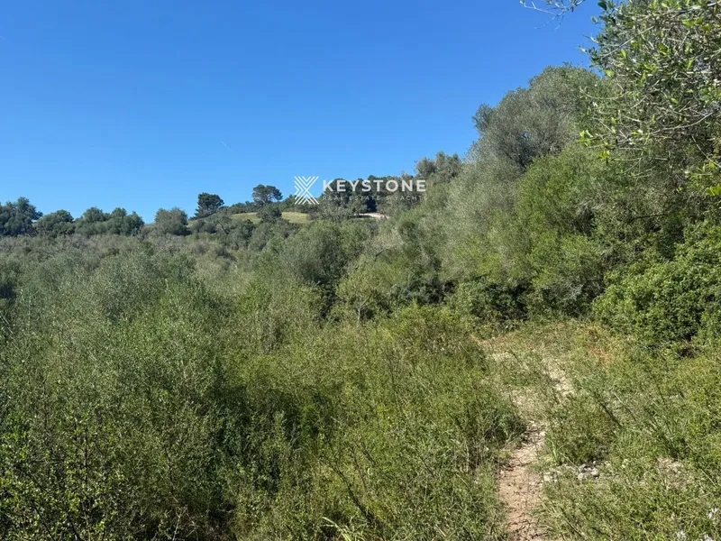 Plot — photo 9
