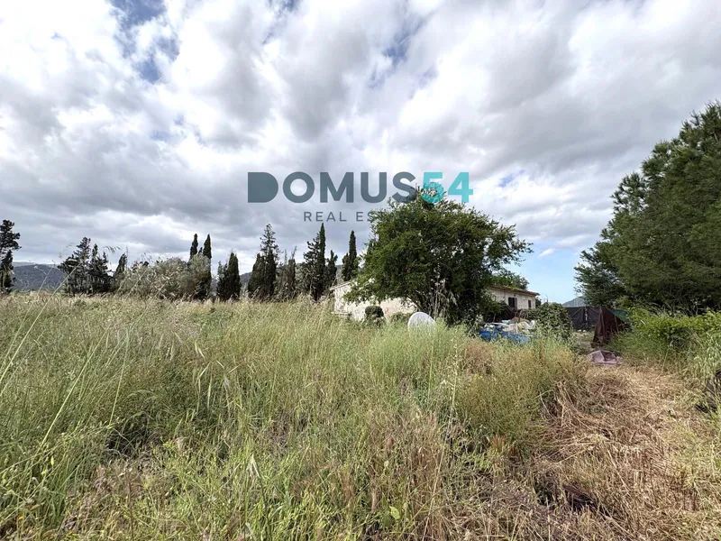 Unbuildable rural plot with a shed in Sa Pobla — photo 12